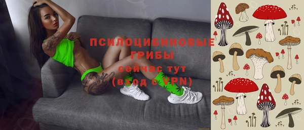 МДПВ Алексеевка